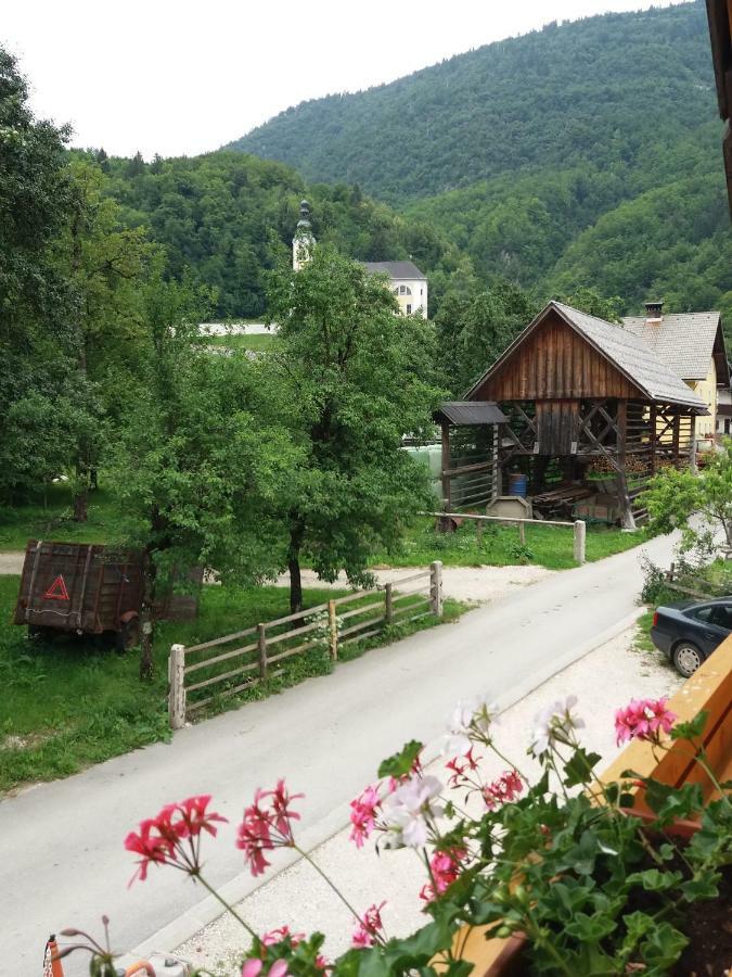 Apartma Momo Bohinj Exterior photo